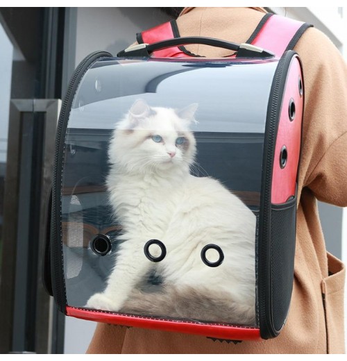 Front Facing Clear Cat Carrier